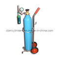 Portable Oxygen Cylinder Trolleys for Small Gas Cylinders